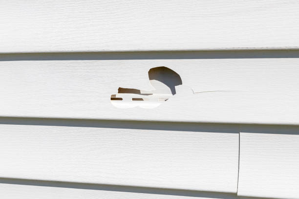 Storm Damage Siding Repair in Thousand Oaks, CA