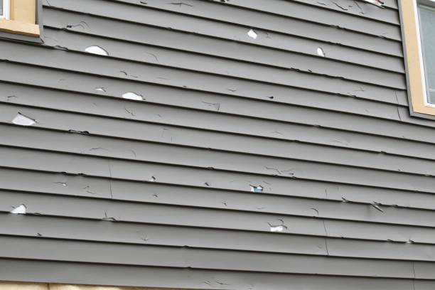 Best Siding Removal and Disposal  in Thousand Oaks, CA